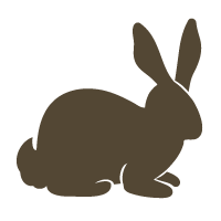 lapin